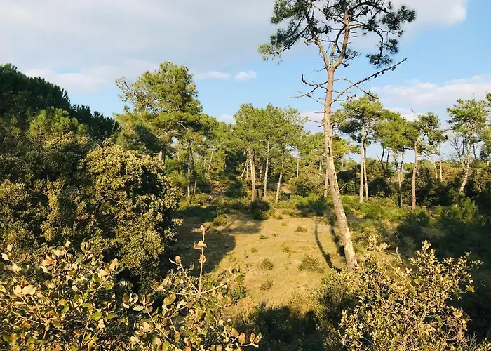 Le Victoria, Piscine Et Foret