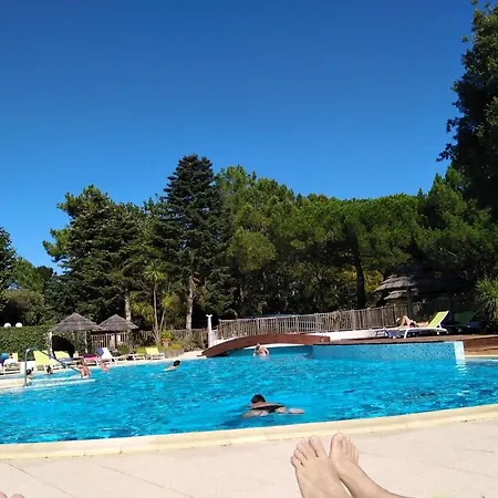 Le Victoria, Piscine Et Foret