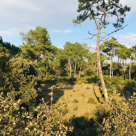 Le Victoria, Piscine Et Foret